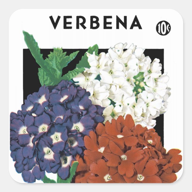 Verbena Seed Packet Label Quadratischer Aufkleber (Vorderseite)