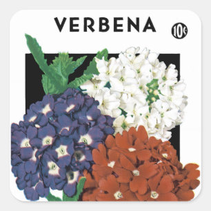 Verbena Seed Packet Label Quadratischer Aufkleber