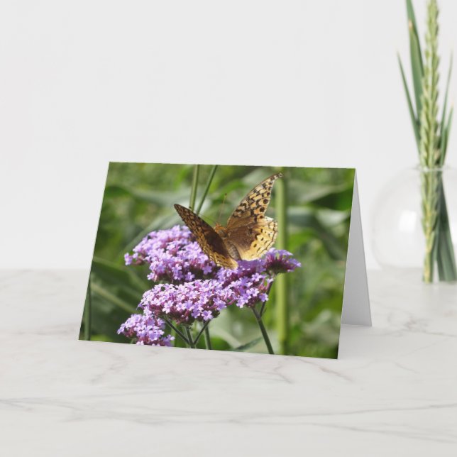 Verbene und Schmetterling notecard Karte (Vorderseite)