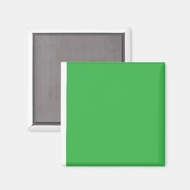 Verbessern Sie Ihre Website mit einem grünen Hinte Magnet (Vorderseite/Rückseite)