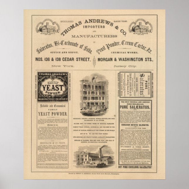 Verbindung zu Teilen New Yorks Poster (Vorne)