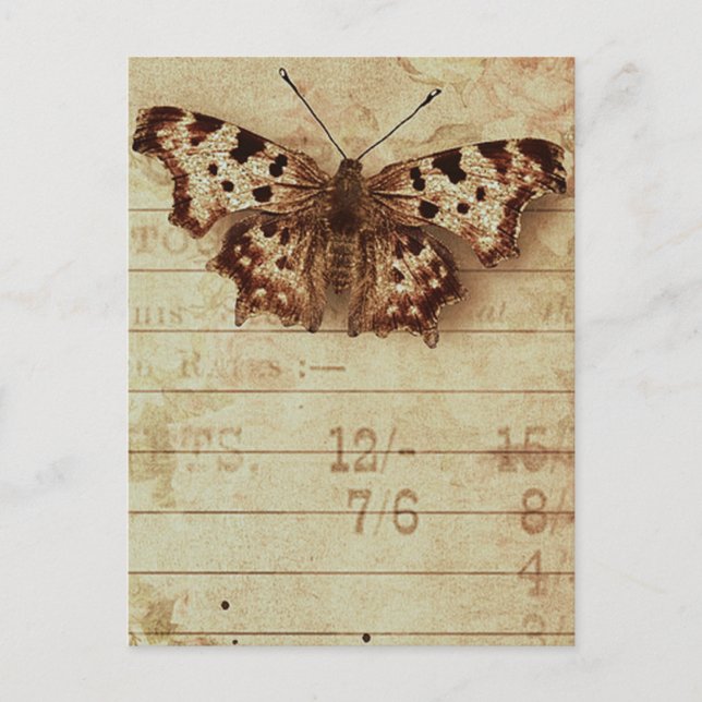 Verblasste Notizblöcke aus Sepia-Schmetterling Postkarte (Vorderseite)