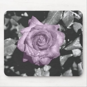 Verblaßte Rose Mousepad