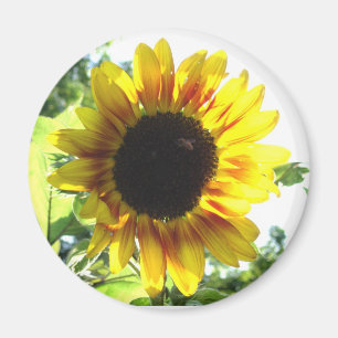 Verbreiten Sie einen wenig Sonnenschein!! Magnet