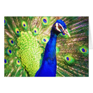 Verbreitung der Liebe