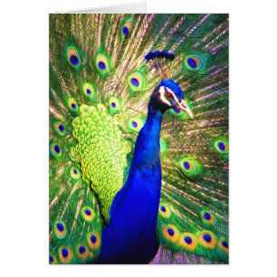 Verbreitung der Liebe