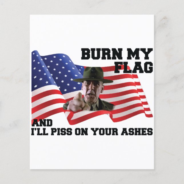 Verbringe nicht meine Flagge Flyer (Vorne)