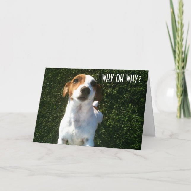 VERBUNDENER JACK RUSSELL "40." GEBURTSTAG KARTE (Vorderseite)