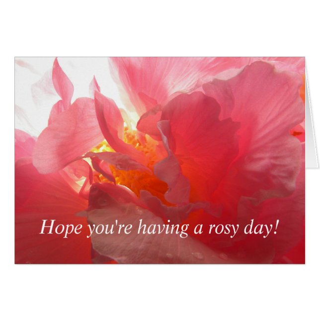 Verbündete Rose (Vorderseite (Horizontal))