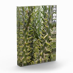 "Verdant Sentinels: Die prickelnde Majestät des Ka Fotoblock