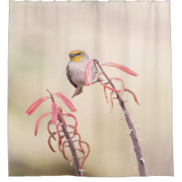 Verdin auf Penstemon Duschvorhang