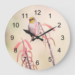 Verdin auf Penstemon Große Wanduhr