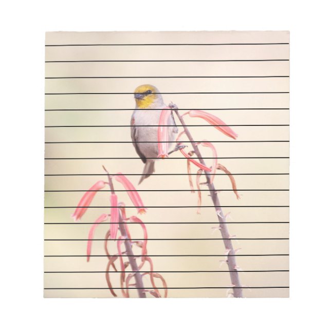 Verdin auf Penstemon Notizblock (Vorderseite)