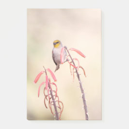 Verdin auf Penstemon Post-it Klebezettel