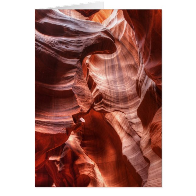 Verdrehtes Gap (Vorne)