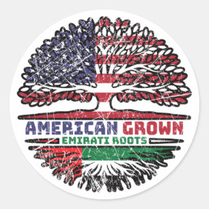Vereinigte Arabische Emirate Emirati US USA USA Ve Runder Aufkleber