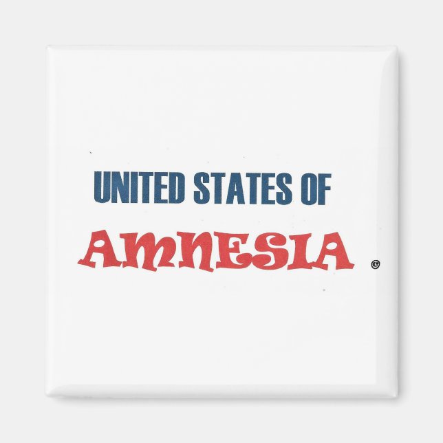 VEREINIGTE STAATEN AMNESIENS MAGNET (Vorne)