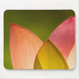 Vereinigte Staaten, DC, Washington, Kenilworth 3 Mousepad