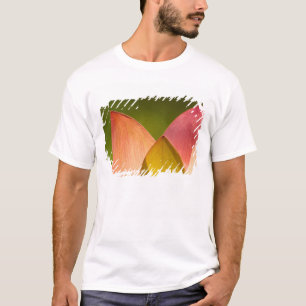 Vereinigte Staaten, DC, Washington, Kenilworth 3 T-Shirt