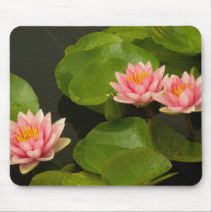 Vereinigte Staaten, DC, Washington, Kenilworth 4 Mousepad