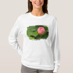 Vereinigte Staaten, DC, Washington, Kenilworth T-Shirt