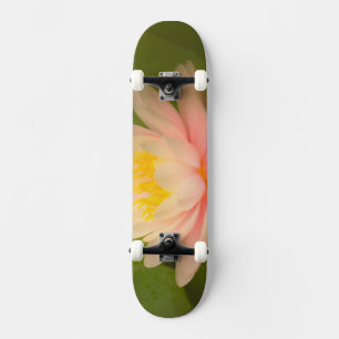 Vereinigte Staaten, Maryland, Westminster, Gewerks Skateboard