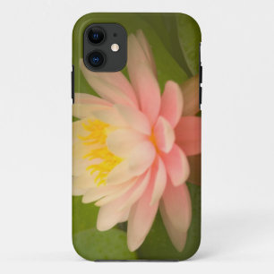 Vereinigte Staaten, Maryland, Westminster, Union Case-Mate iPhone Hülle