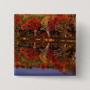 Vereinigte Staaten, Michigan, Obere Halbinsel.Nied Button