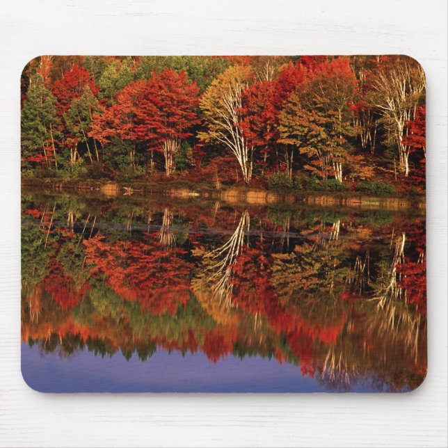 Vereinigte Staaten, Michigan, Obere Halbinsel.Nied Mousepad (Vorne)