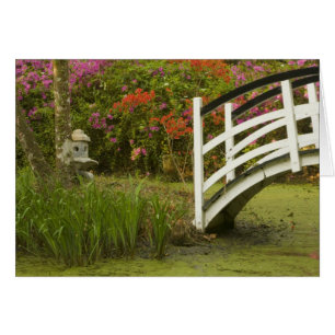 Vereinigte Staaten; South Carolina; Charleston; 2