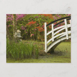 Vereinigte Staaten South Carolina Charleston;2 Postkarte