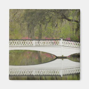 Vereinigte Staaten; South Carolina; Charleston; 3 Magnet
