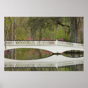 Vereinigte Staaten; South Carolina; Charleston; 3 Poster