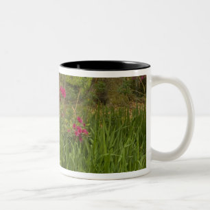 Vereinigte Staaten South Carolina Charleston;4 Zweifarbige Tasse