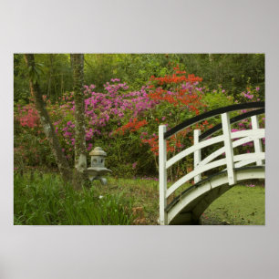 Vereinigte Staaten; South Carolina; Charleston; 5 Poster