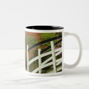 Vereinigte Staaten South Carolina Charleston;5 Zweifarbige Tasse