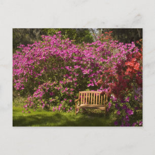 Vereinigte Staaten; South Carolina; Charleston; Postkarte