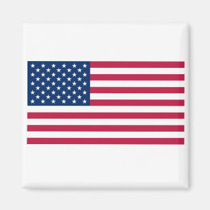 Vereinigte Staaten USA Magnet