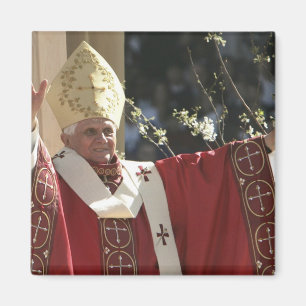 Vereinigte Staaten, Washington, D.C. Papst Benedik Magnet