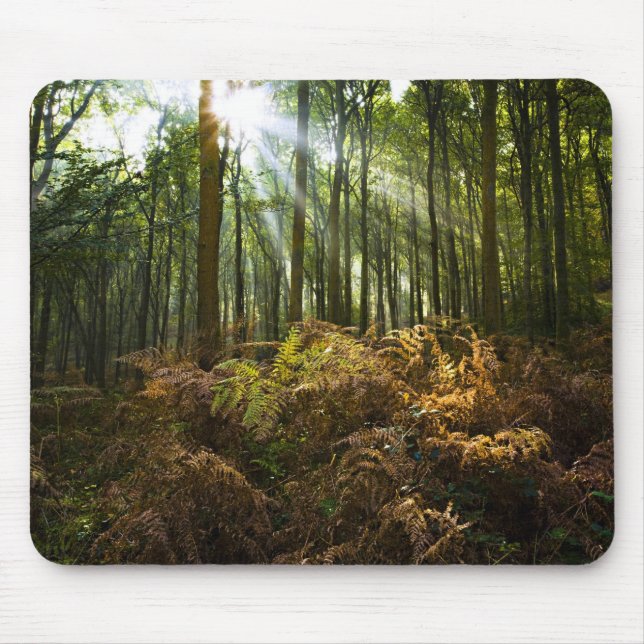 Vereinigtes Königreich, England Sonnenstrahlen dur Mousepad (Vorne)