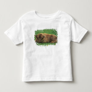 Vereinigtes Königreich, Schottland. Highland-Kalb Kleinkind T-shirt