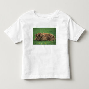 Vereinigtes Königreich, Schottland. Highland-Kalb Kleinkind T-shirt