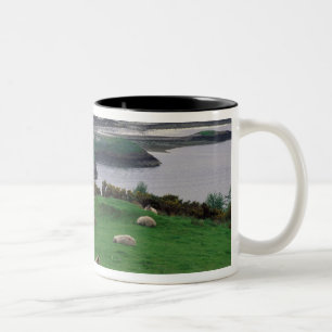 Vereinigtes Königreich, Schottland, Isle of Skye, Zweifarbige Tasse