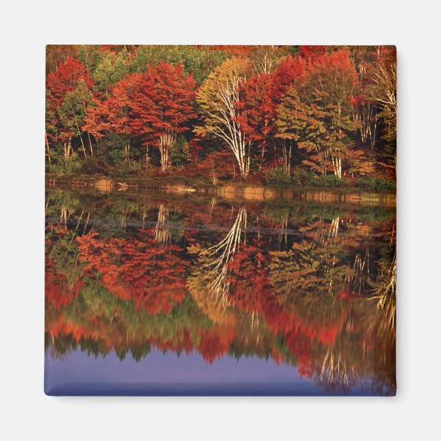 Vereinte Staaten, Michigan, Oberhalbinsel. Fall Magnet (Vorne)