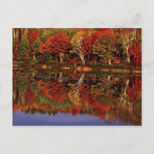 Vereinte Staaten, Michigan, Oberhalbinsel. Fall Postkarte