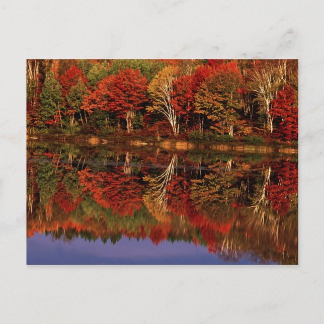 Vereinte Staaten, Michigan, Oberhalbinsel. Fall Postkarte (Vorderseite)