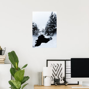 Vereister Teich und Bäume verschwinden im Nebel Poster
