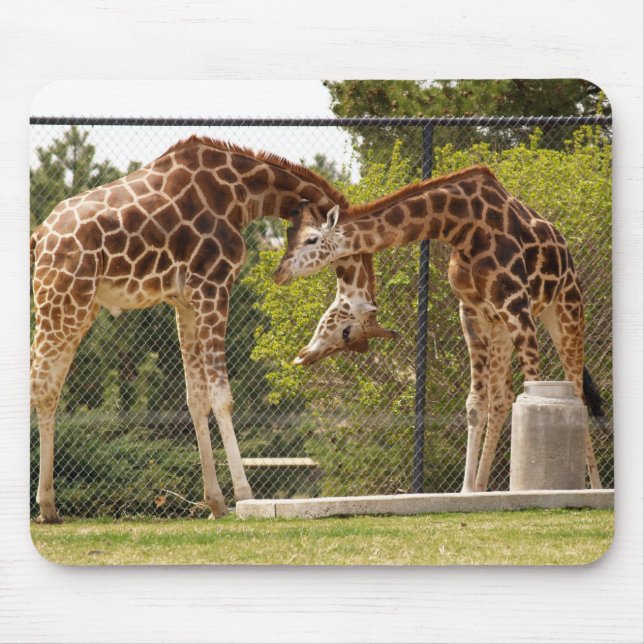 Verengungsgiraffen Mousepad (Vorne)