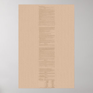 Verfassung der Vereinigten Staaten Poster