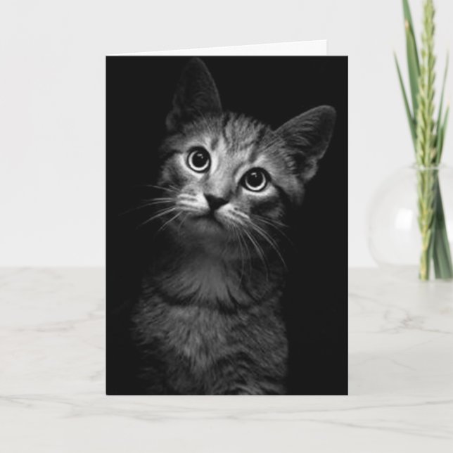 VERFEHLT EUCH, LIEBE IHR MEOW KARTE (Vorderseite)